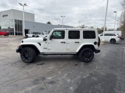 
 Jeep Wrangler full									