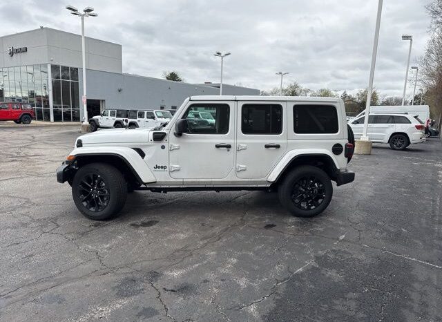 
 Jeep Wrangler full									