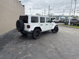 
 Jeep Wrangler full									