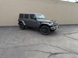
 Jeep Wrangler full									