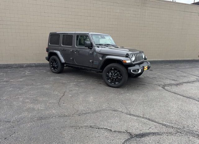 
 Jeep Wrangler full									