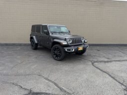 
 Jeep Wrangler full									
