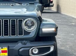
 Jeep Wrangler full									