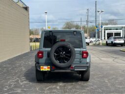 
 Jeep Wrangler full									