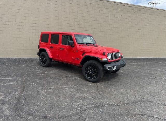 
 Jeep Wrangler full									