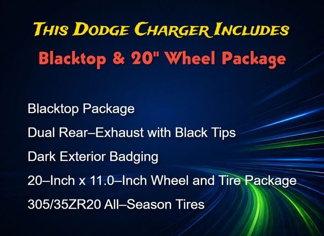 
 Dodge Charger full									