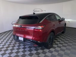 
 Nissan Murano full									