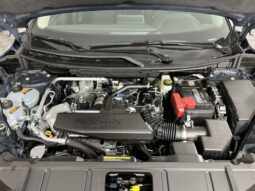 
 Nissan Rogue full									