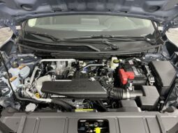 
 Nissan Rogue full									