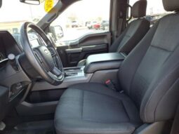 
 Ford F-150 full									
