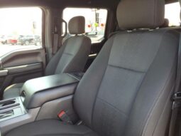 
 Ford F-150 full									