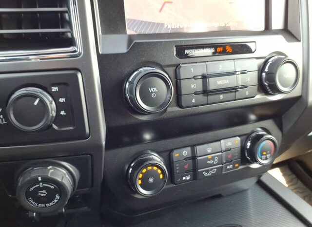 
 Ford F-150 full									