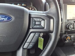 
 Ford F-150 full									