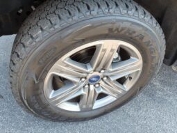 
 Ford F-150 full									