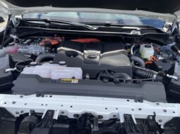 
 Toyota Tundra Hybrid full									