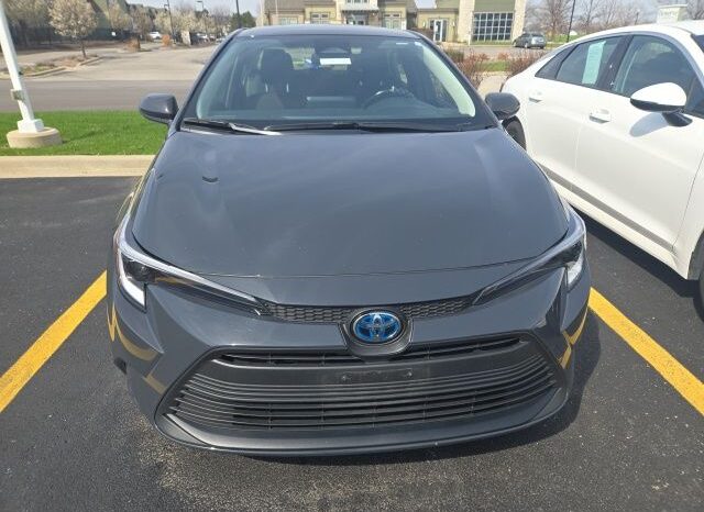 
 Toyota Corolla Hybrid full									