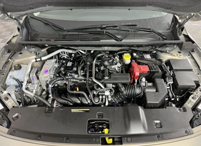 
 Nissan Sentra full									