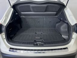 
 Nissan Rogue Sport full									