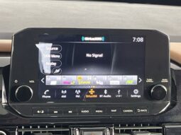 
 Nissan Pathfinder full									