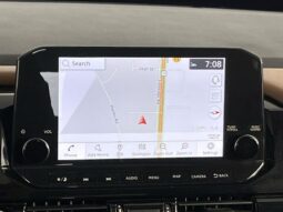 
 Nissan Pathfinder full									