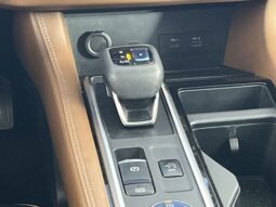 
 Nissan Pathfinder full									