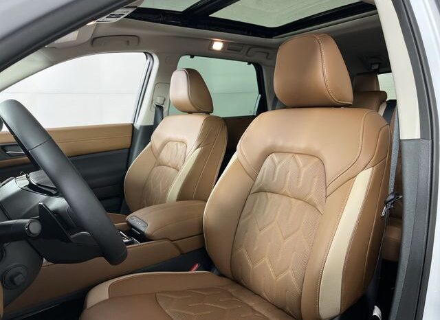 
 Nissan Pathfinder full									