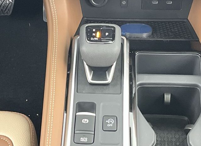 
 Nissan Pathfinder full									