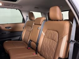 
 Nissan Pathfinder full									