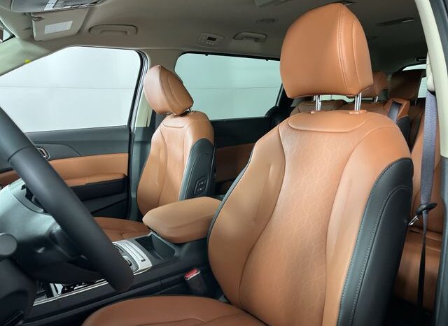 
 Kia Carnival full									
