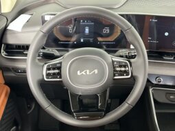 
 Kia Carnival full									