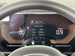 
 Kia Carnival full									