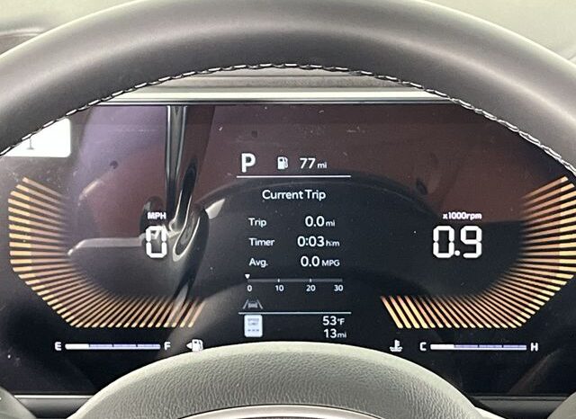 
 Kia Carnival full									