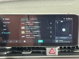 
 Kia Carnival full									