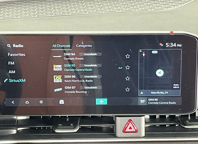 
 Kia Carnival full									