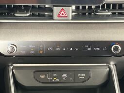 
 Kia Carnival full									