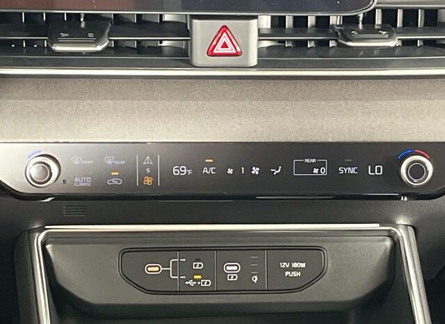 
 Kia Carnival full									