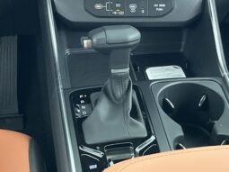 
 Kia Carnival full									