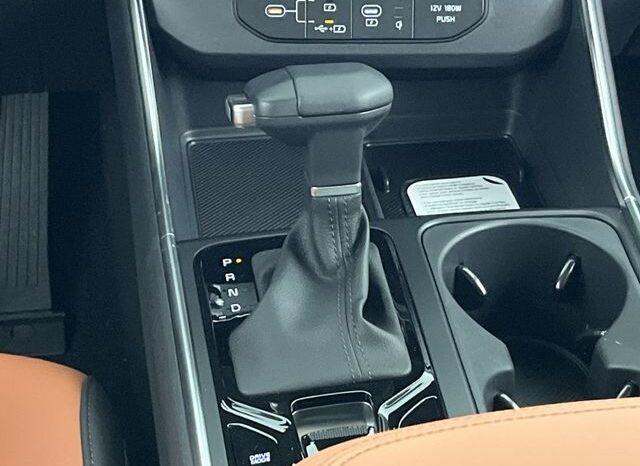 
 Kia Carnival full									