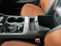 
 Kia Carnival full									