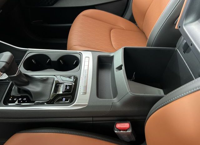 
 Kia Carnival full									