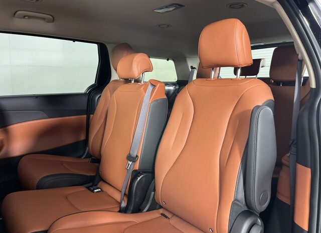 
 Kia Carnival full									