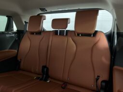 
 Kia Carnival full									