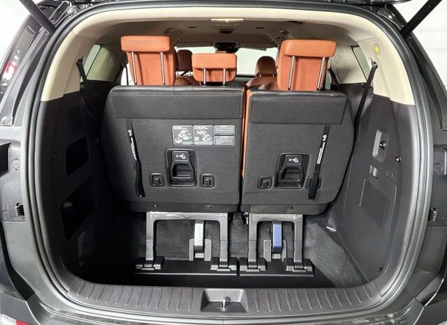 
 Kia Carnival full									