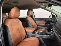 
 Kia Carnival full									