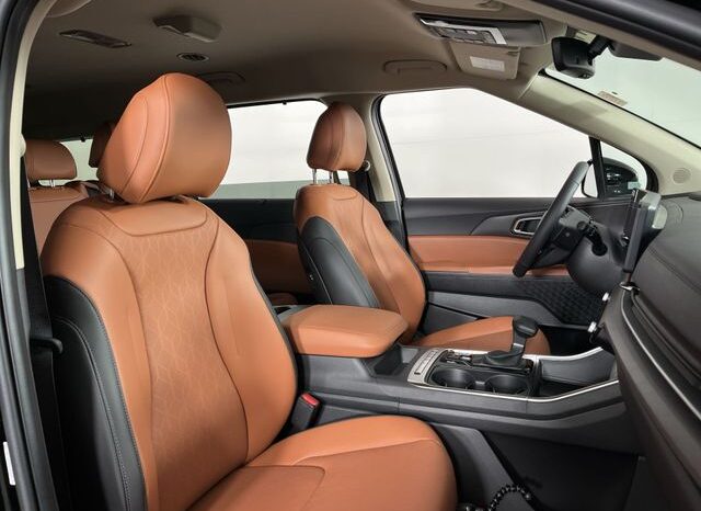 
 Kia Carnival full									