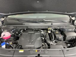 
 Kia Carnival full									