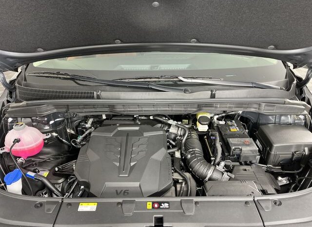
 Kia Carnival full									