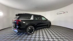 
 Kia Carnival full									
