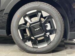 
 Kia Carnival full									