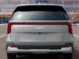 
 Kia Carnival full									